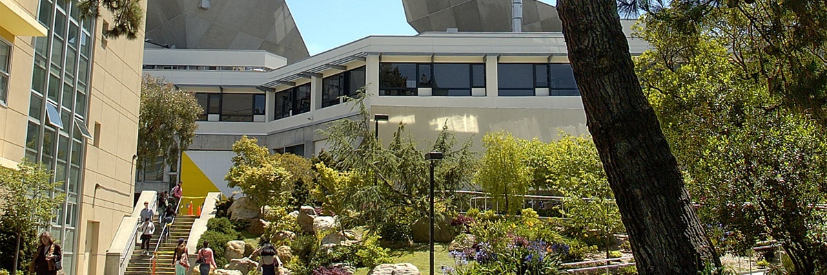 Japanese Garden at SF State